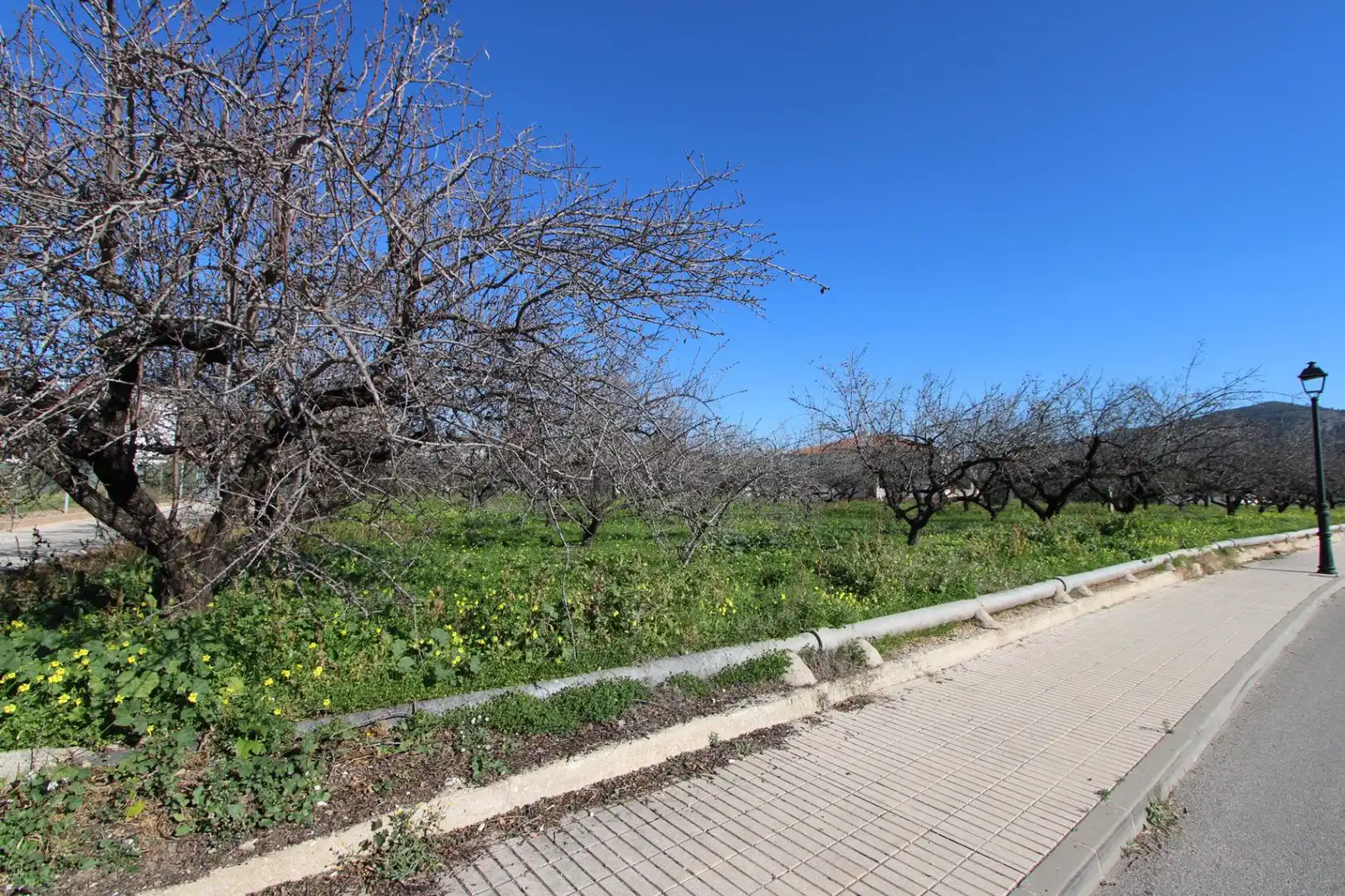 Chalet con jardín en venta en Murla, imagen 17