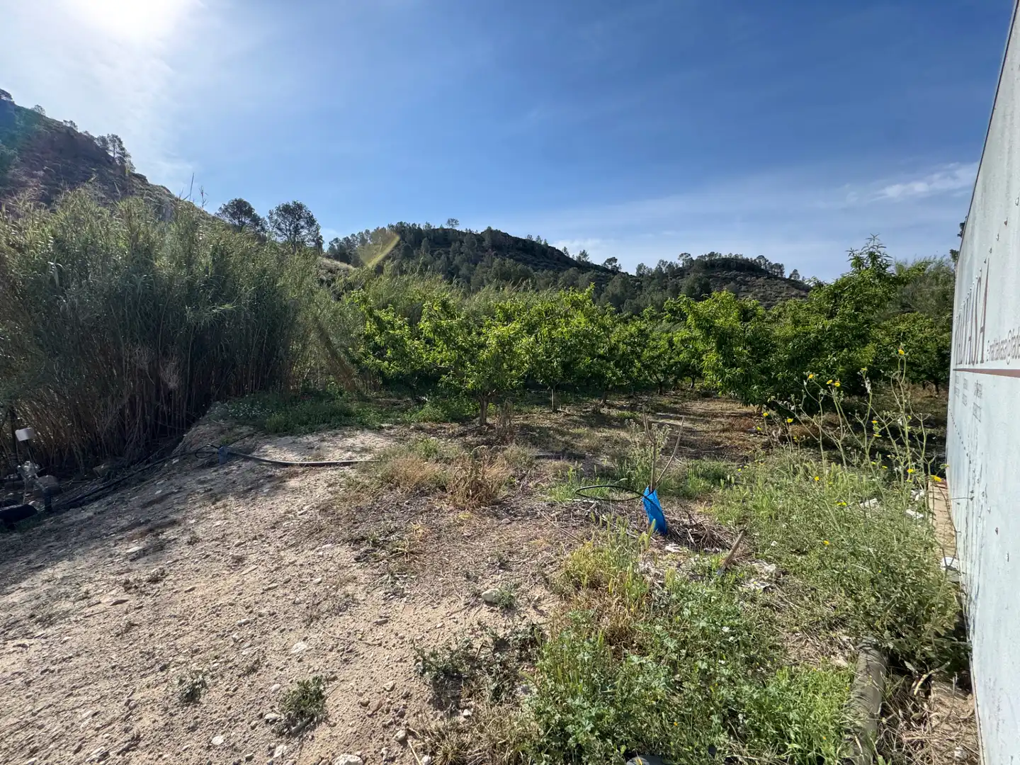 Terreno rustico in vendita a Calle 7.Canara 76, imagen 35