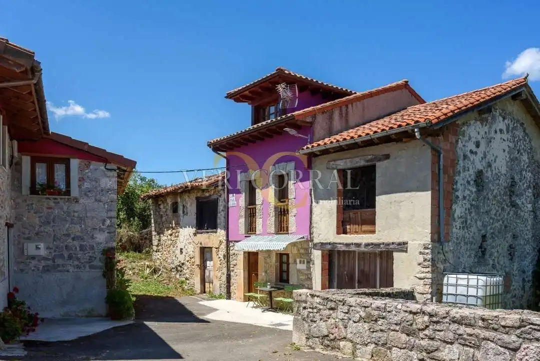 Vista exterior de Casa adosada en venda en Peñamellera Alta amb Calefacció