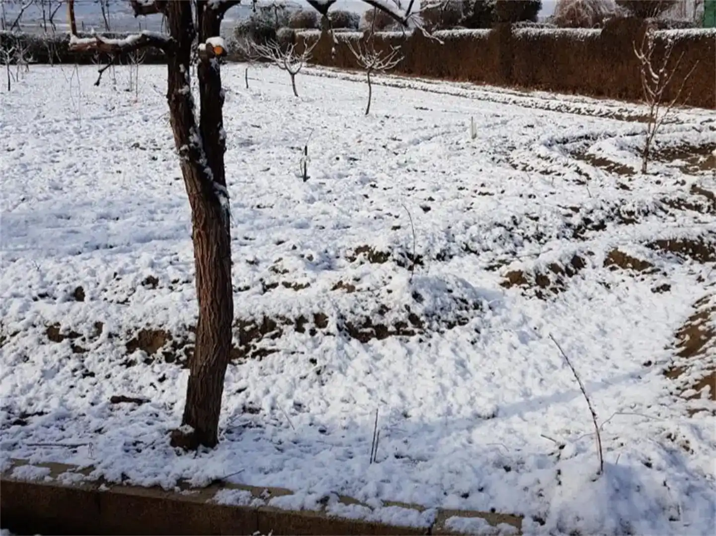 Finca rústica en venda en Guadix amb Aire condicionat, Jardí privat i Piscina
