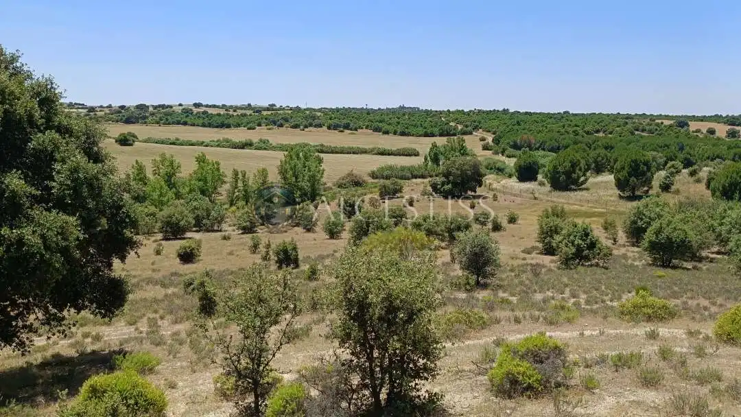 Terreno en venta en La Torre de Esteban Hambrán