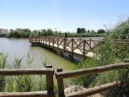 Jardí de Residencial en venda en Nules