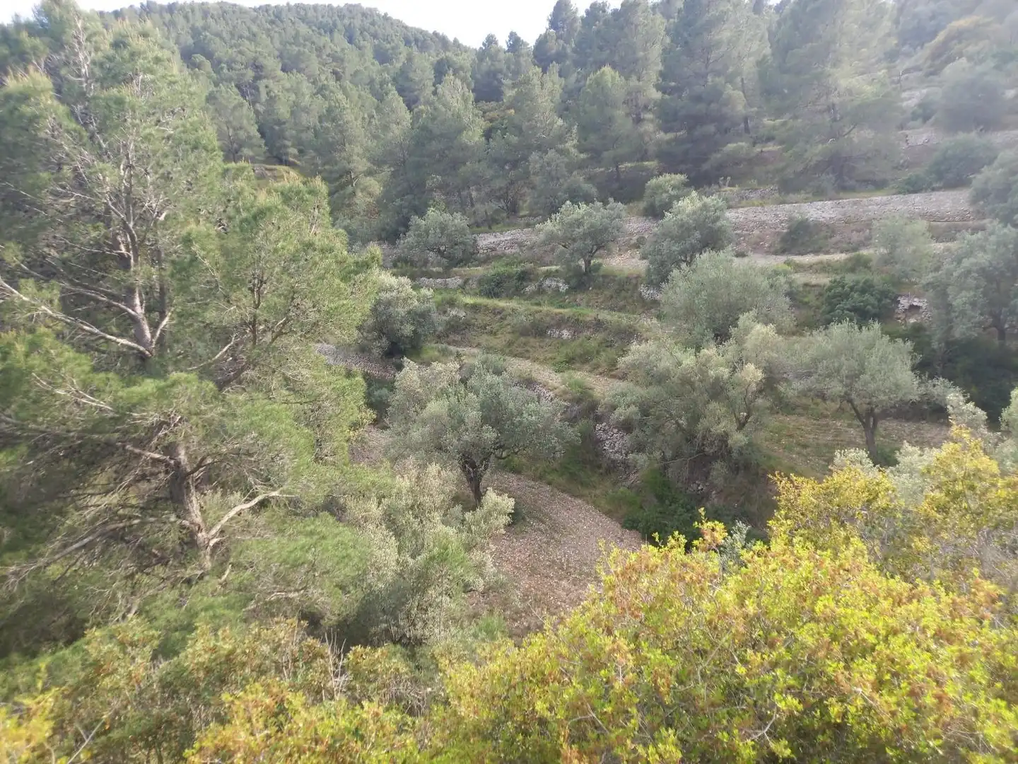 Rural land for sale in El Pinell de Brai, imagen 26