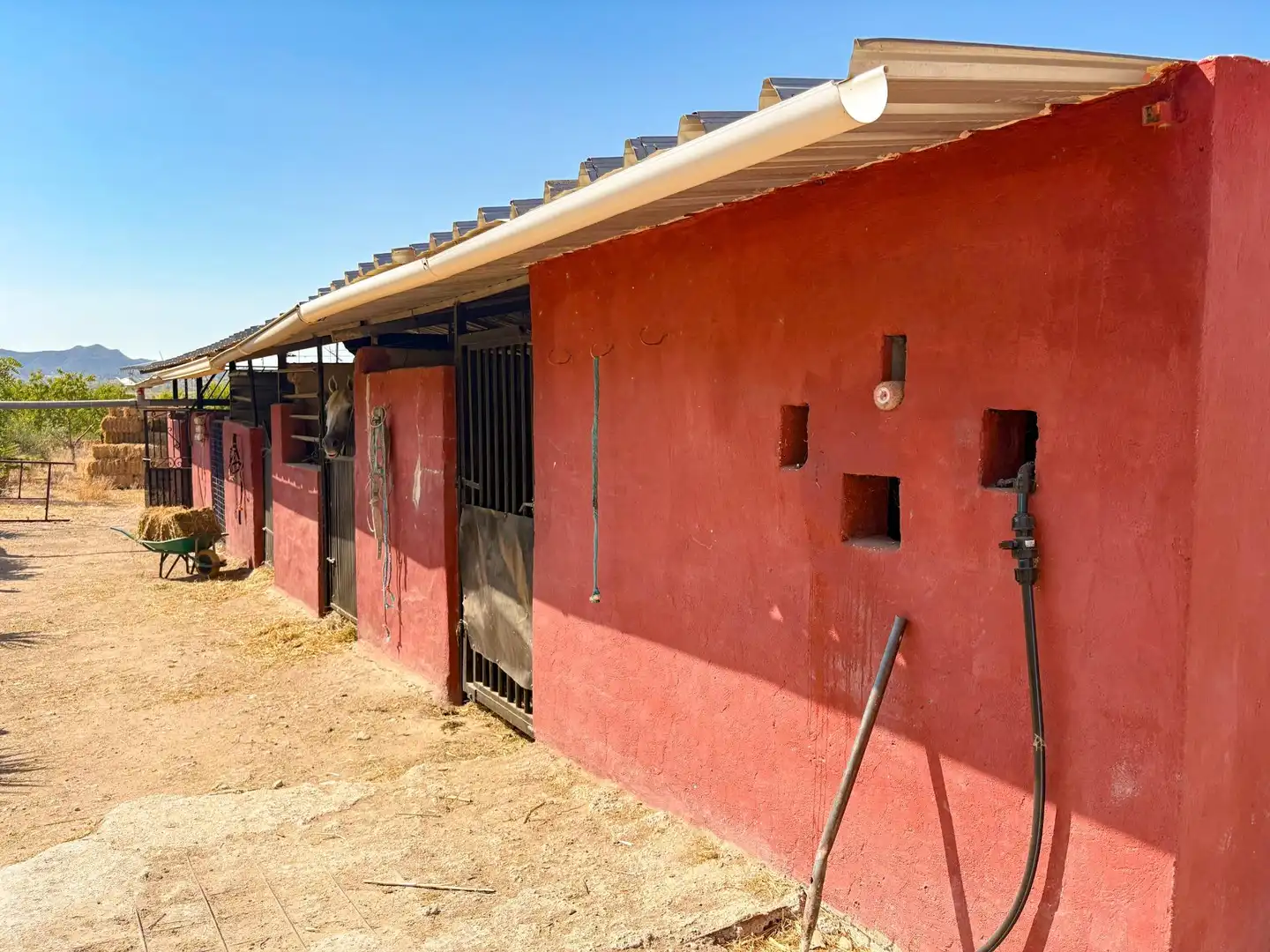 Vista exterior de Casa o chalet en venta en Orihuela con Calefacción, Jardín privado y Terraza