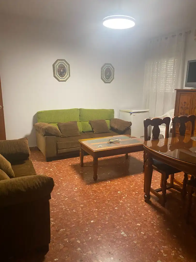 Sala d'estar de Pis de lloguer en Málaga amb Aire condicionat, Terrassa i Moblat