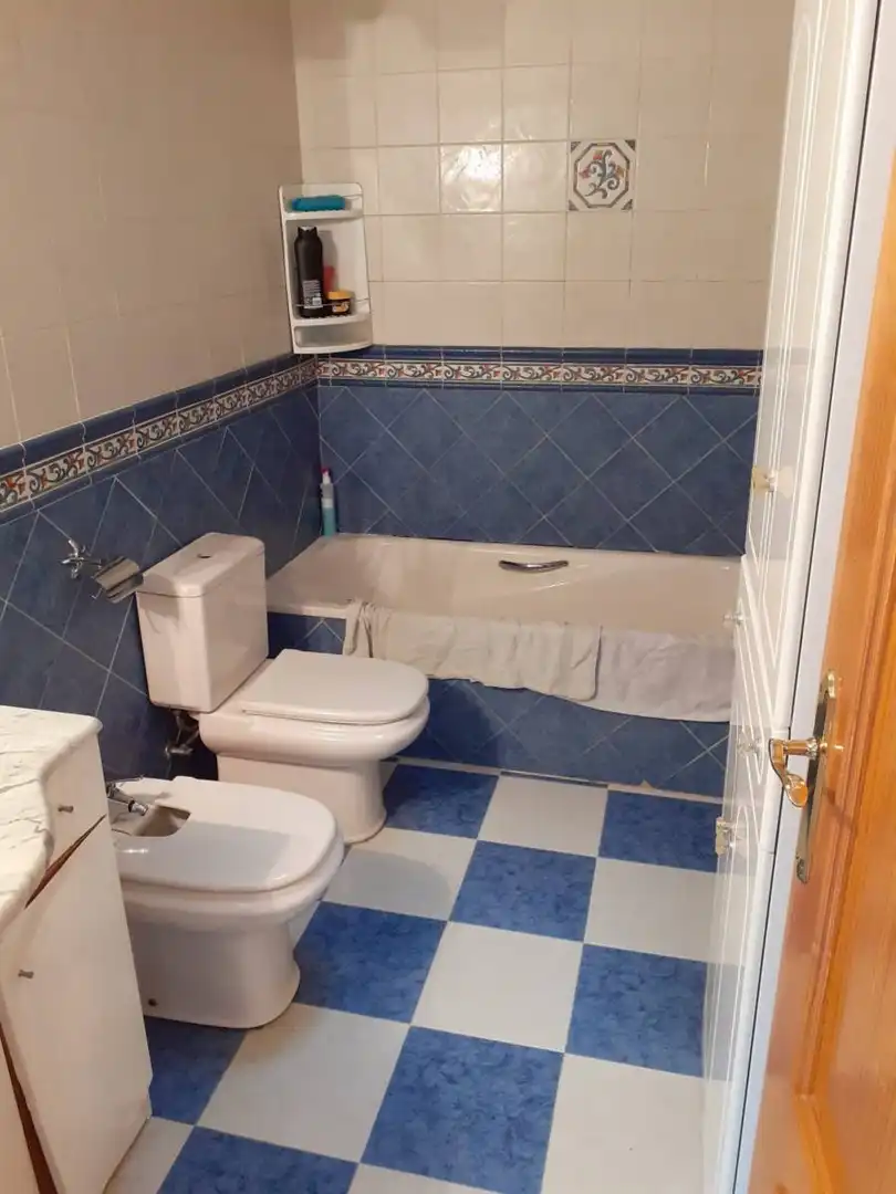 Duplex in vendita a C. Vicente Blasco IbaÃ±ez, imagen 6
