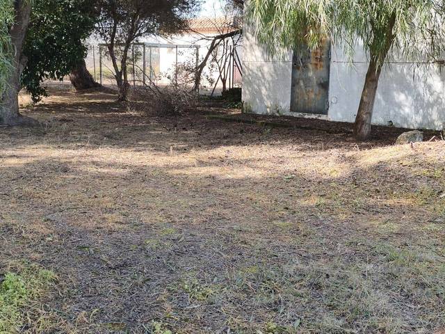 Finca rústica en Venta en Chipiona Norte