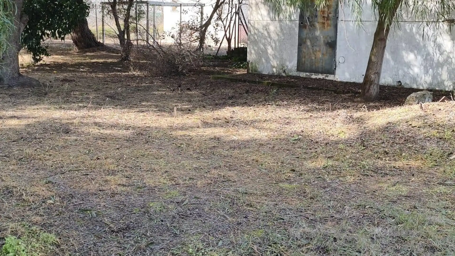 Finca rústica en venta en Chipiona