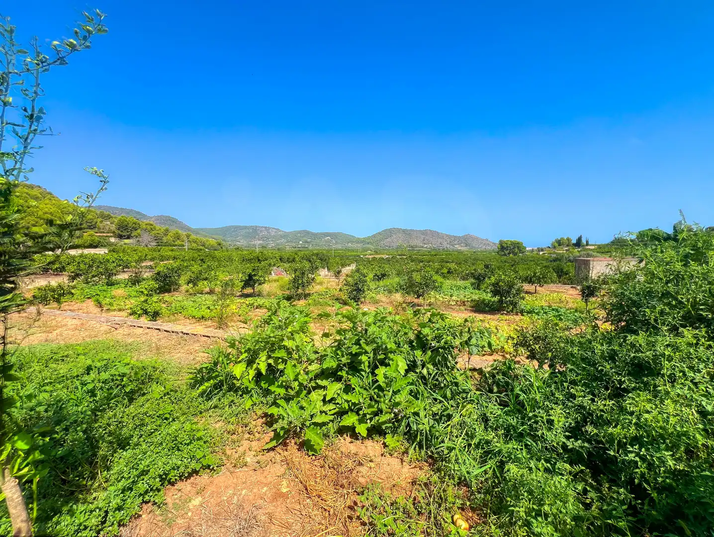 House for sale in Oliva pueblo, imagen 34