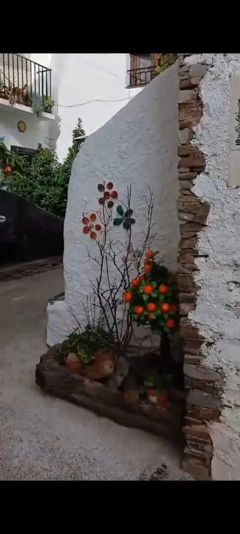 Maison mitoyenne à vendre à Carretera la Mairena 14, imagen 44