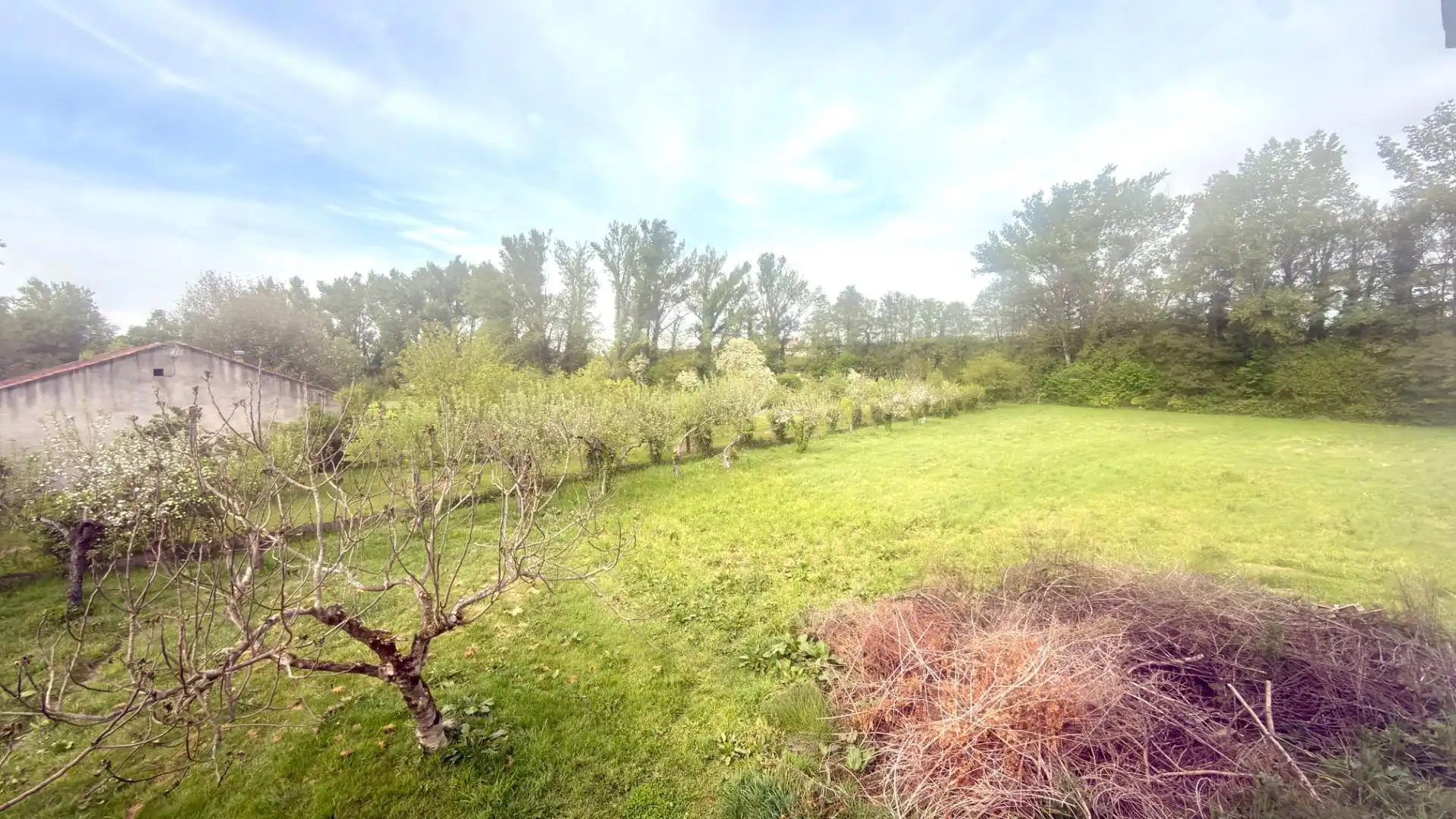 House with terrace for sale in Monforte de Lemos, imagen 45