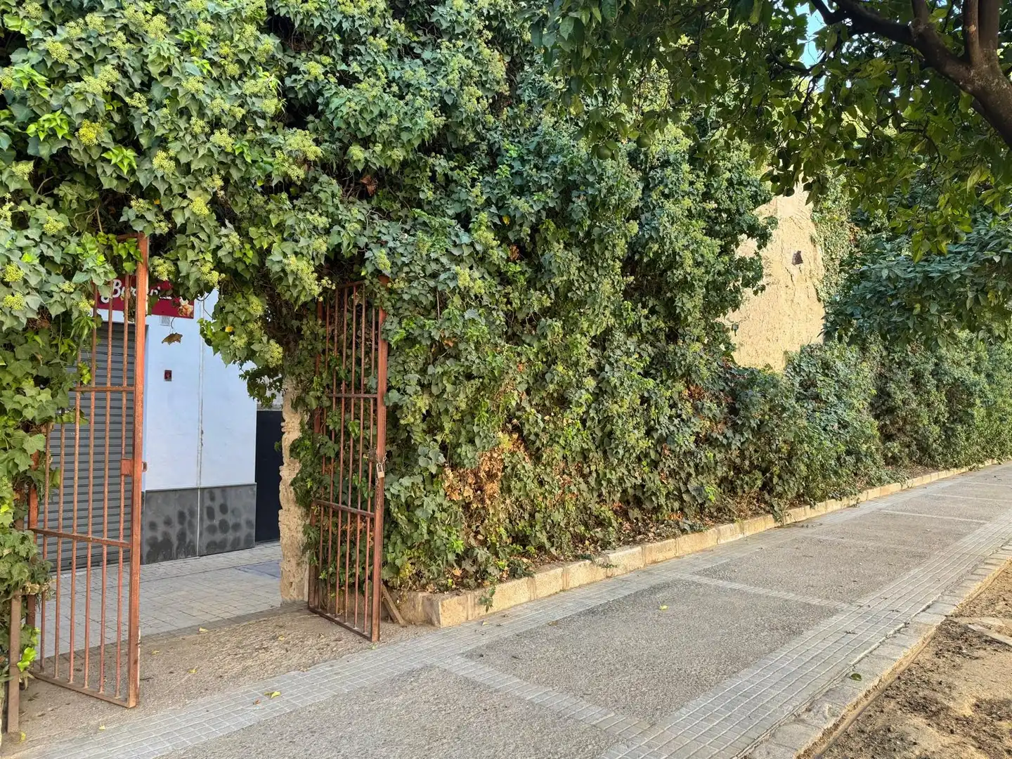 Business premises for sale in Centro, imagen 11