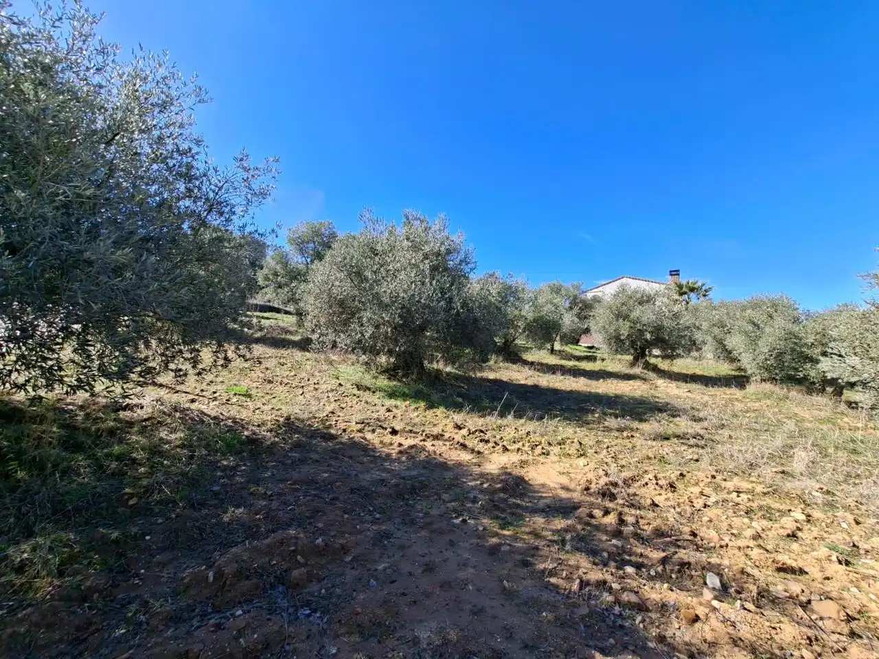 Lands and plots for sale in Calle Río Tajuña 1676, imagen 2
