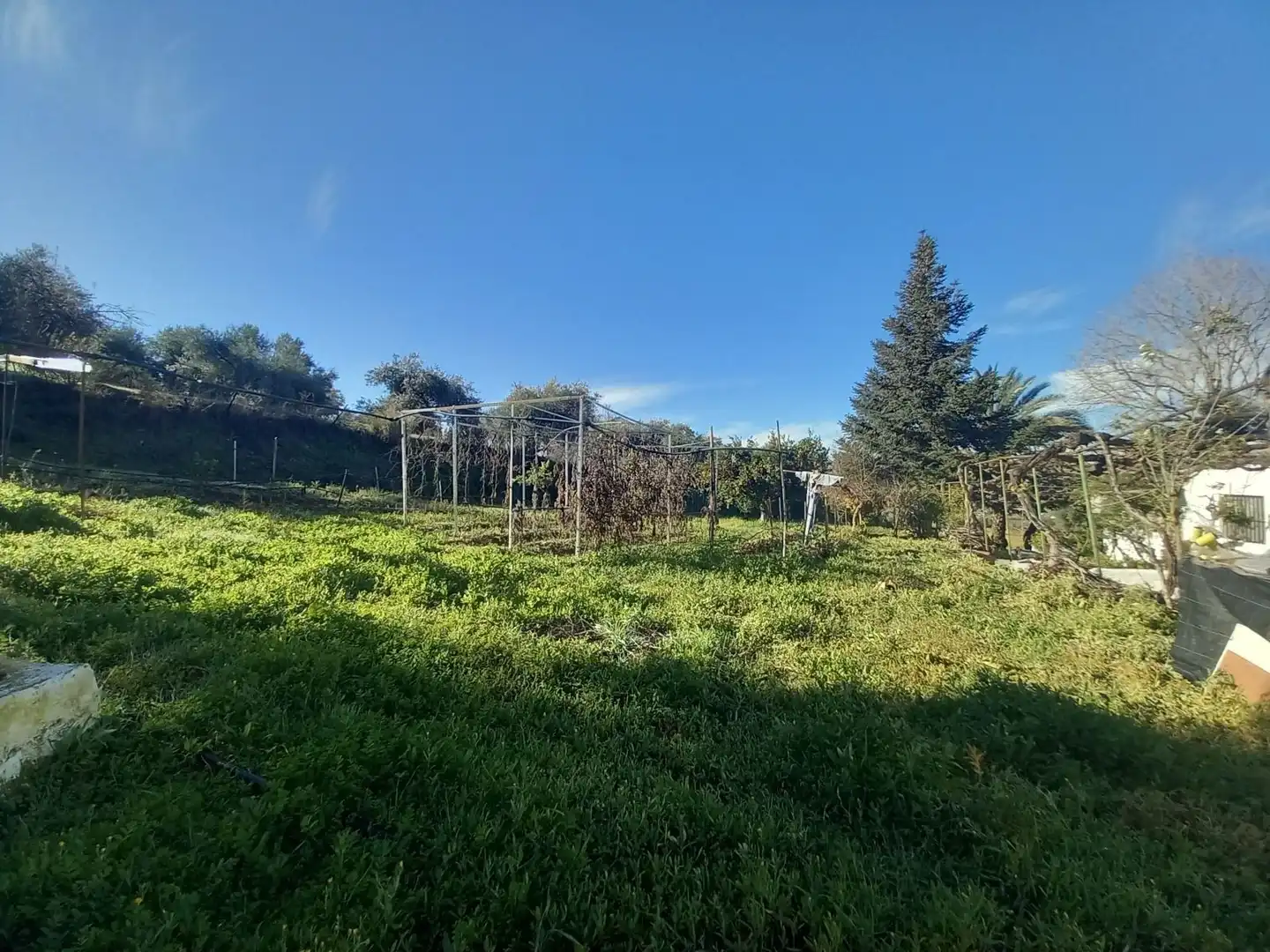 Finca rústica en venda a Partidas Norte