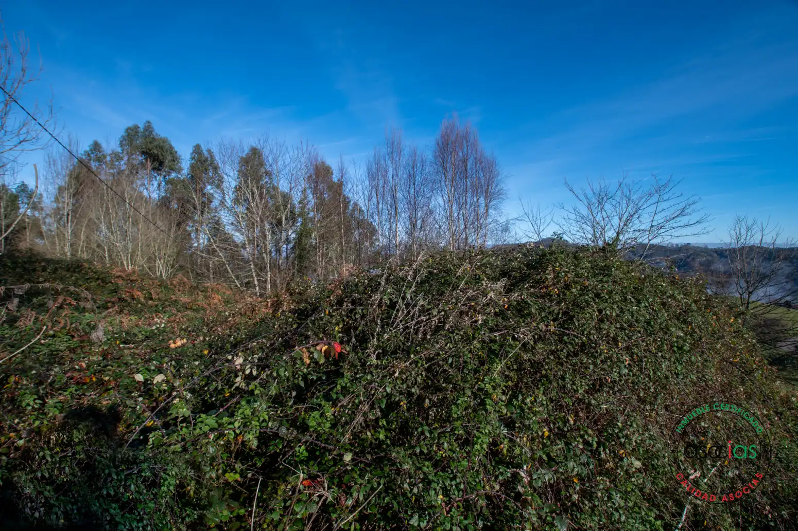 Grundstücke zum Verkauf in Cabranes