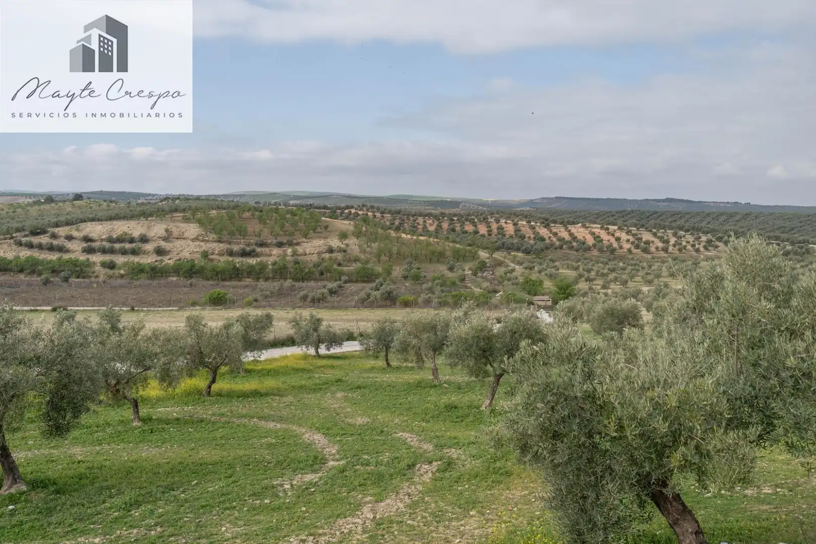House with pool for sale in Calle del Geranio 29, imagen 21