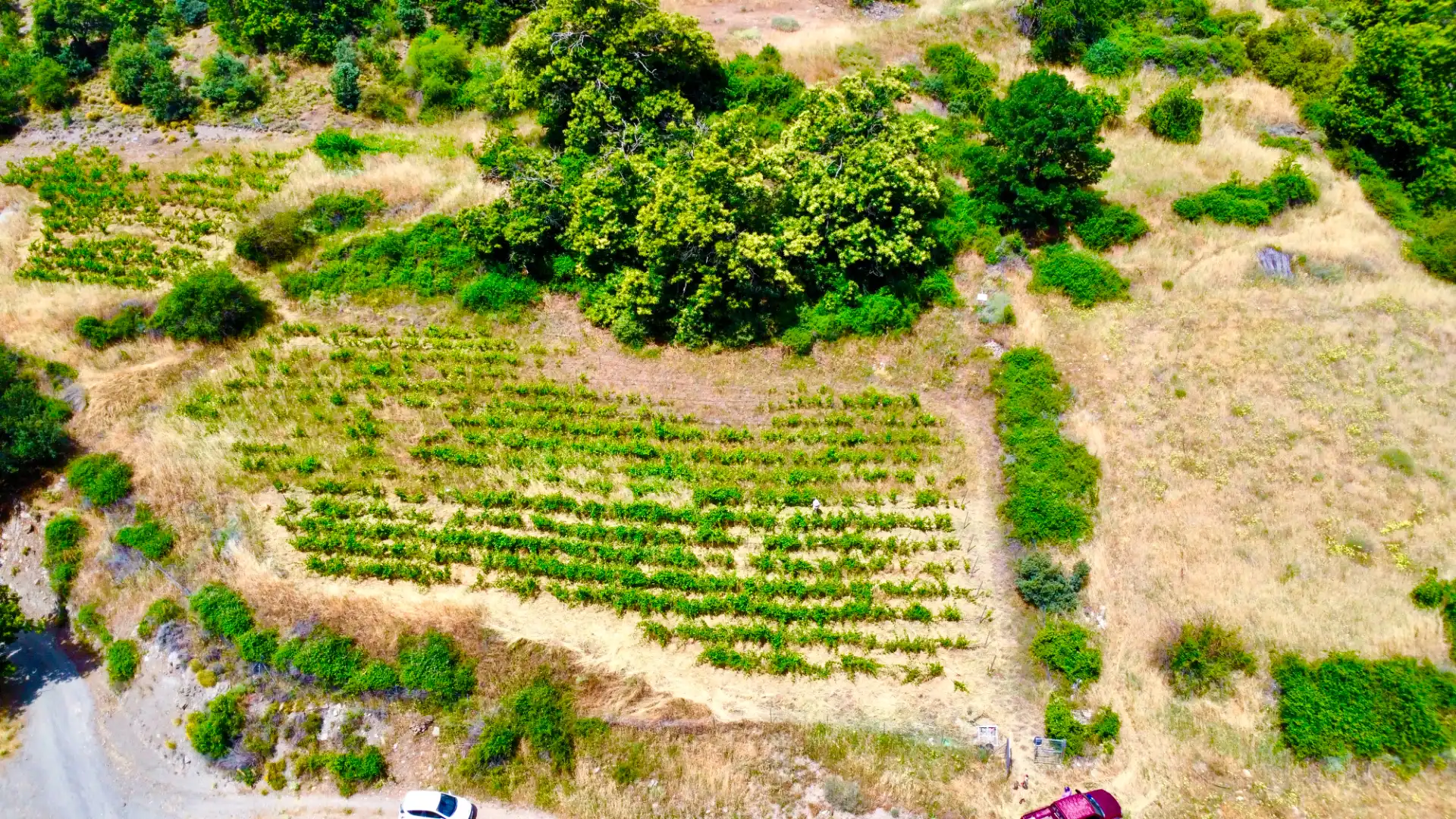 Terreni e lotti in vendita a Alpujarra de la Sierra, imagen 31