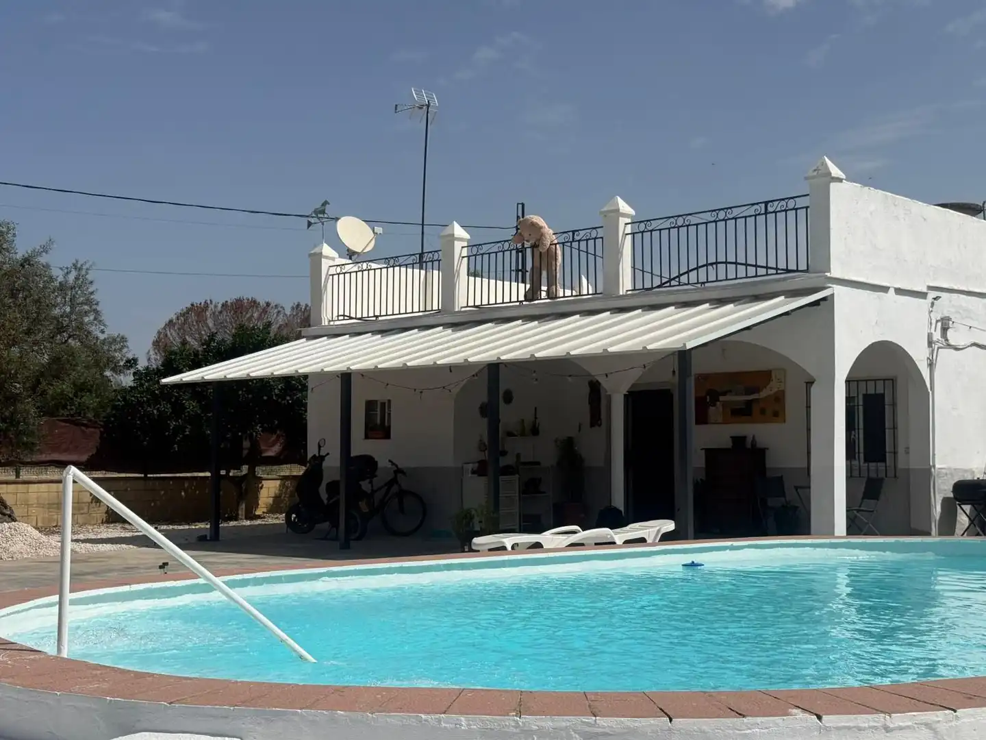 Piscina de Casa o xalet en venda en Utrera amb Jardí privat, Terrassa i Piscina