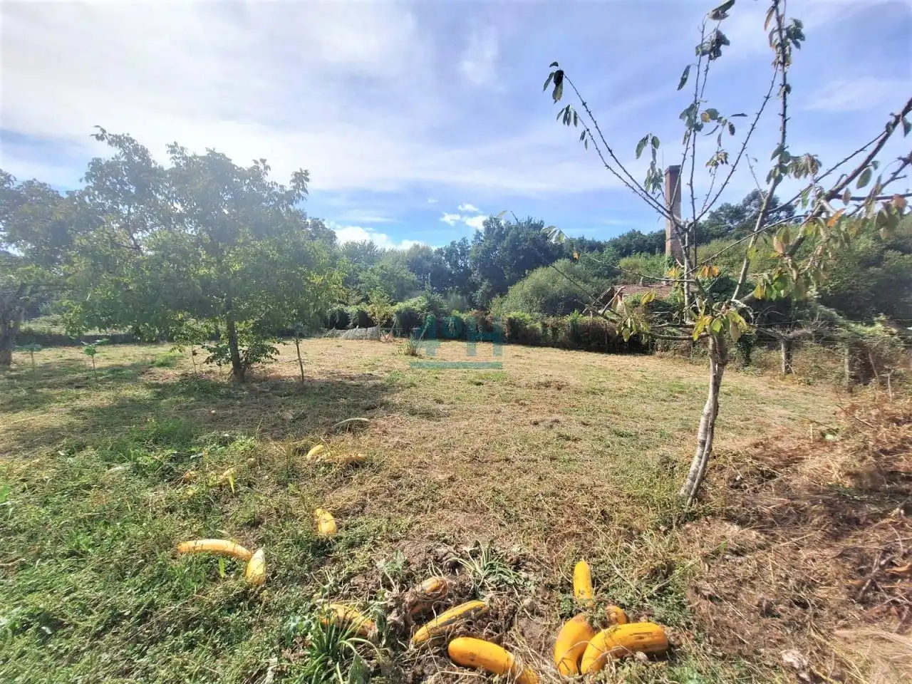 Casa amb terrassa en venda a Amoeiro, imagen 19