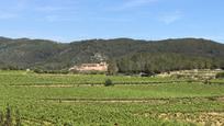 Vista exterior de Finca rústica en venda en Sant Pere de Ribes amb Jardí privat, Terrassa i Traster