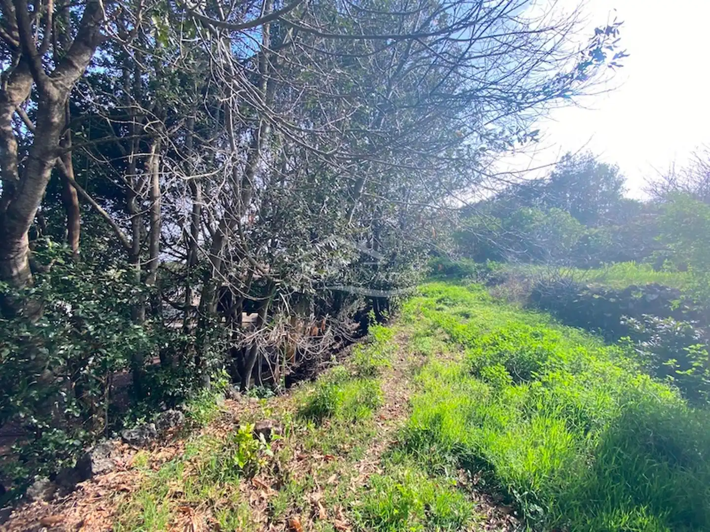 Casa o xalet en venda en El Tanque amb Jardí privat, Terrassa i Traster