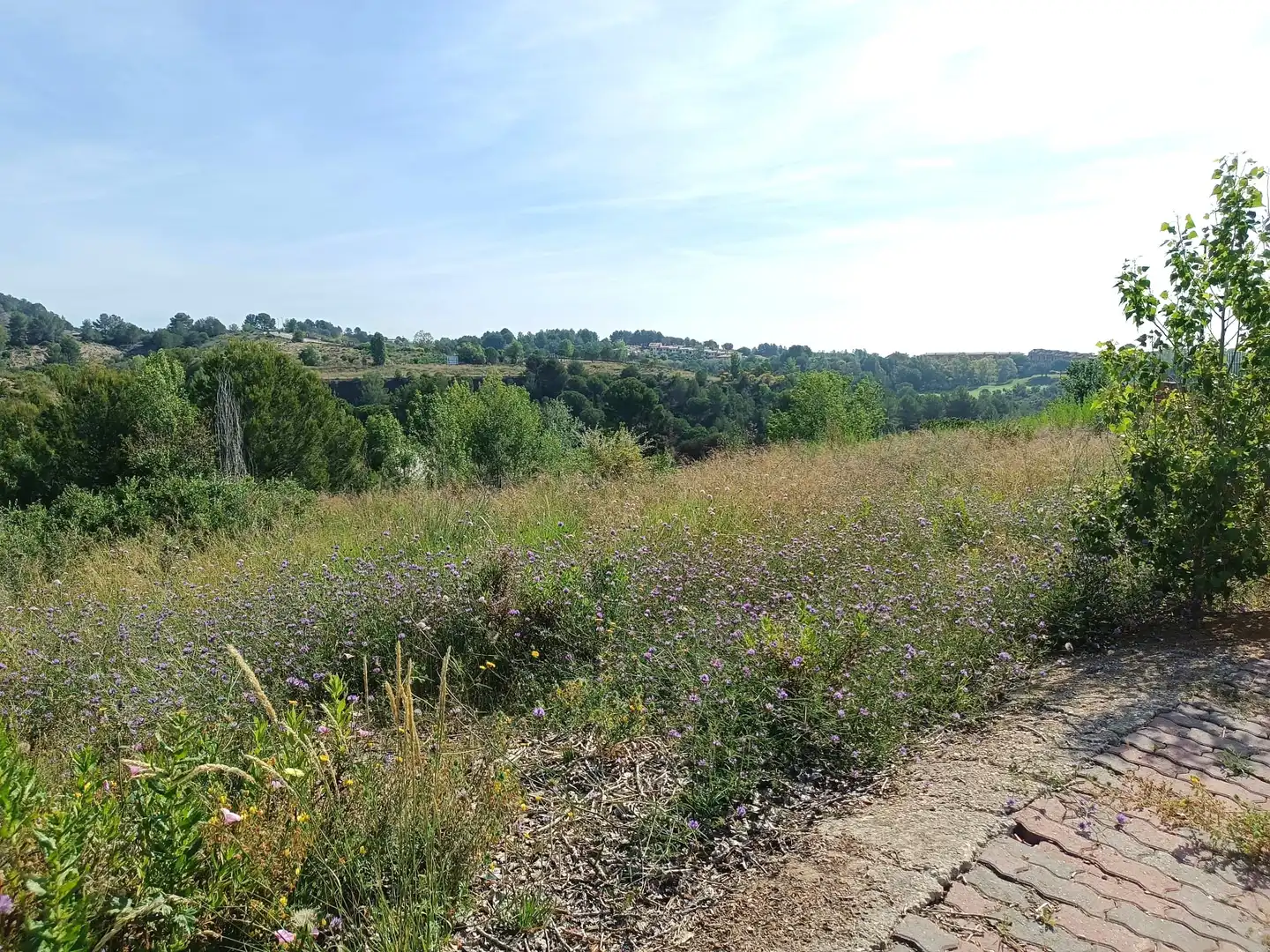 Terreno residencial en venta en Sant Esteve Sesrovires, imagen 9