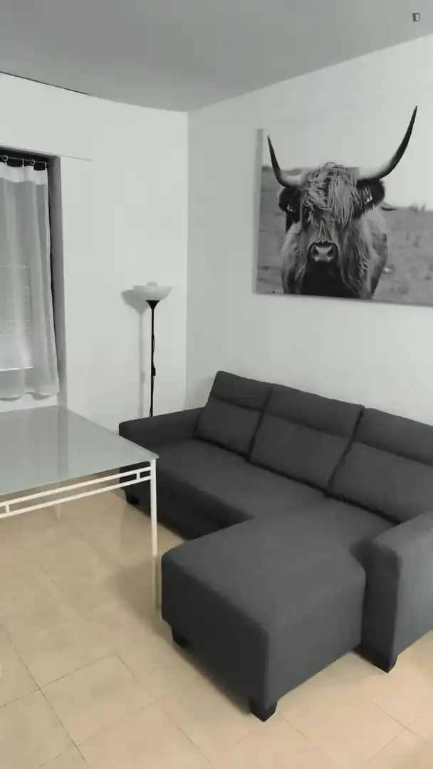Living room of Study for rent in Sevilla  with Air Conditioner, Heating and Furnished
