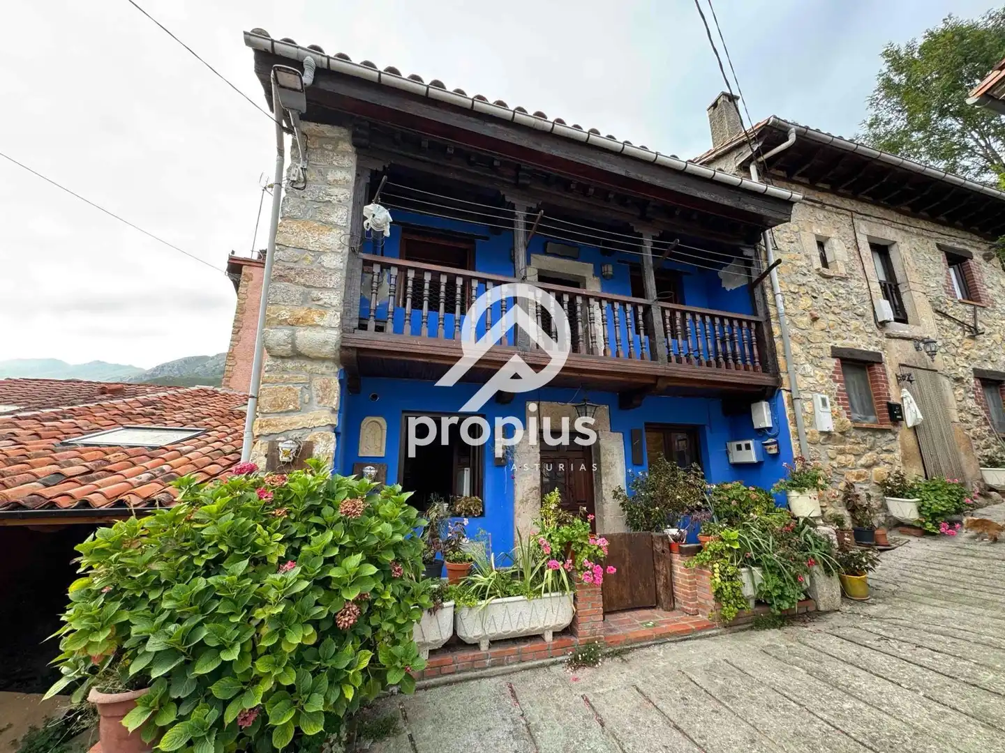 Vista exterior de Casa adosada en venta en Peñamellera Alta con Calefacción, Parquet y Terraza