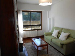 Sala d'estar de Pis de lloguer en Donostia - San Sebastián  amb Calefacció i Moblat