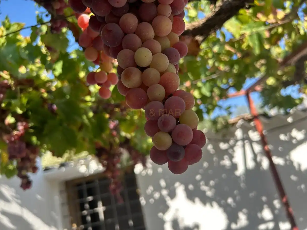 Vista exterior de Casa o xalet en venda en Álora amb Calefacció, Terrassa i Traster