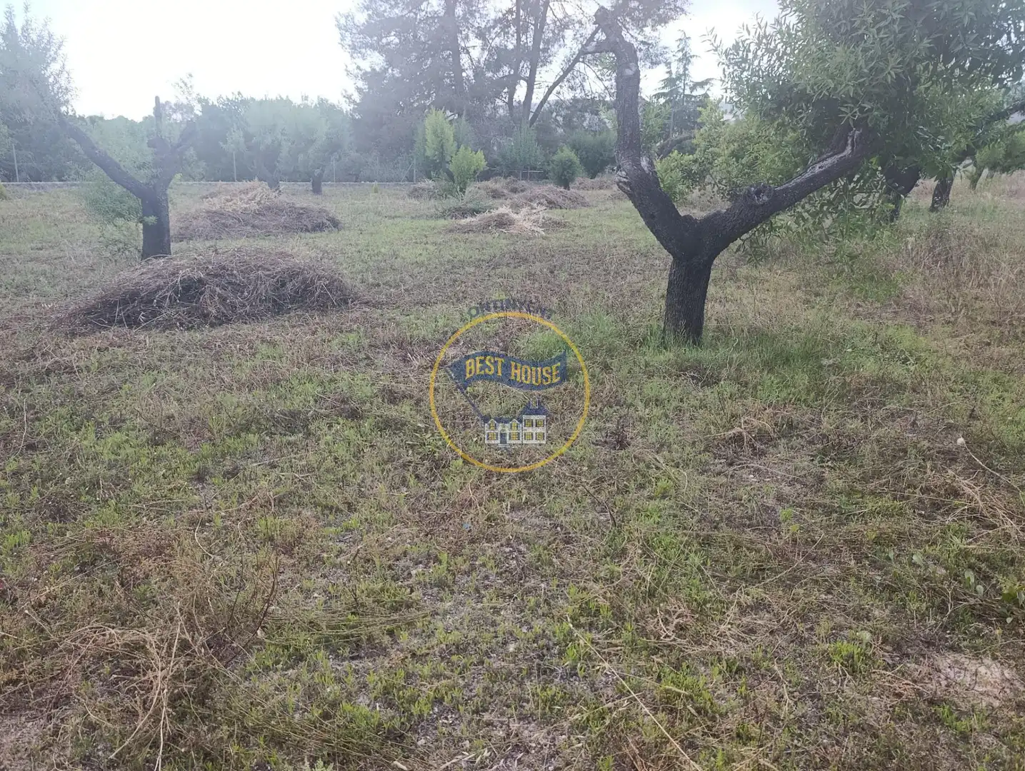 Residential land for sale in Sant Josep - Zona Hospital, imagen 6
