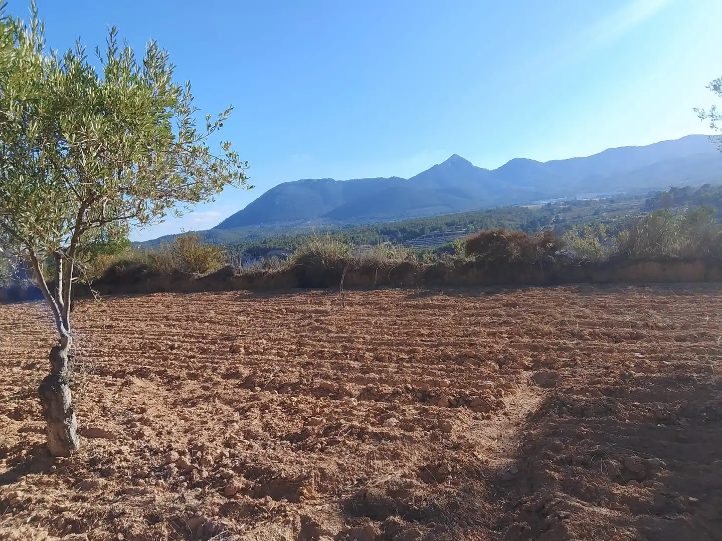 Terreny rústic en venda a Tibi, imagen 9