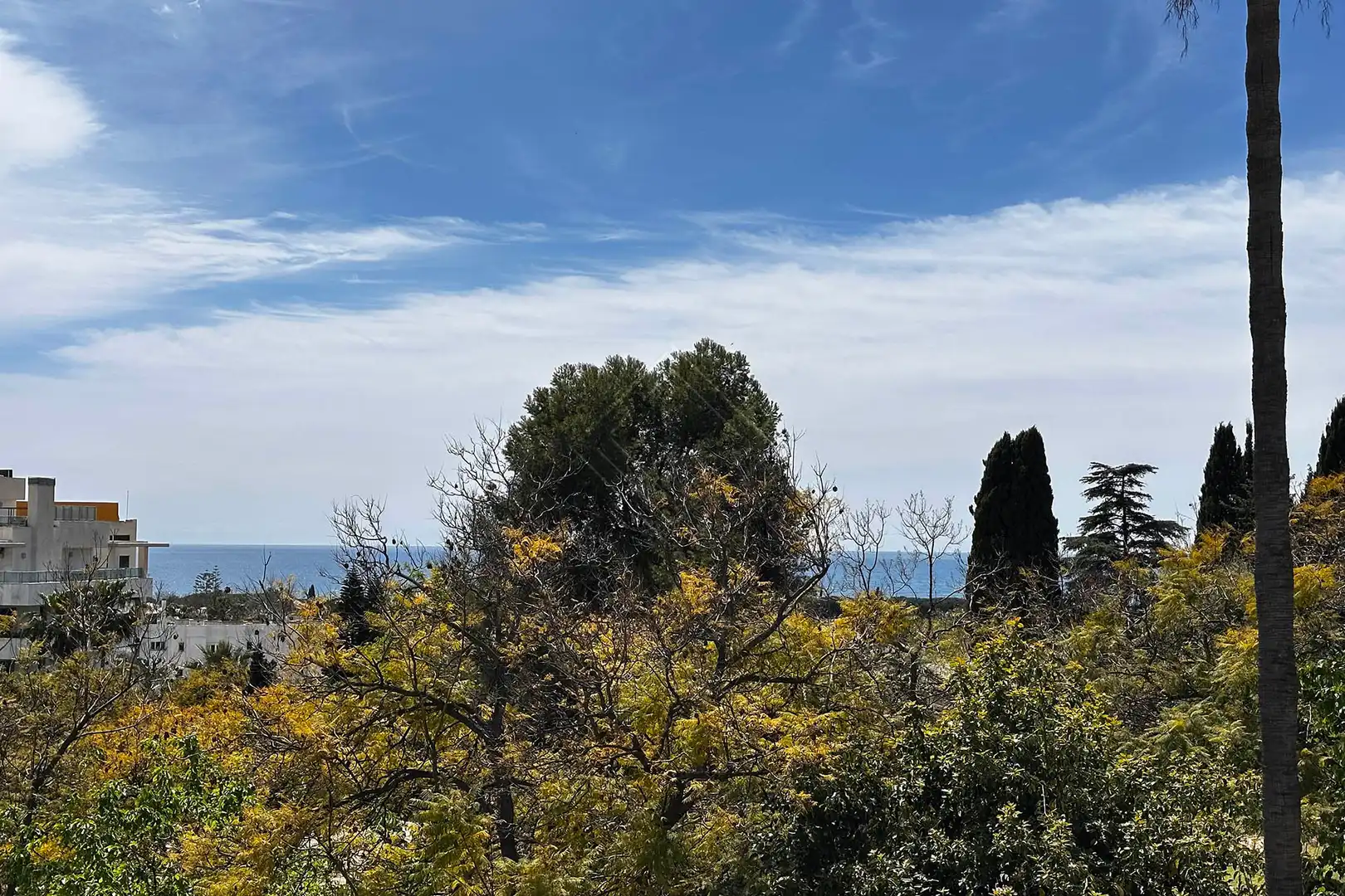 Casa a schiera con piscina in vendita a Milla de Oro