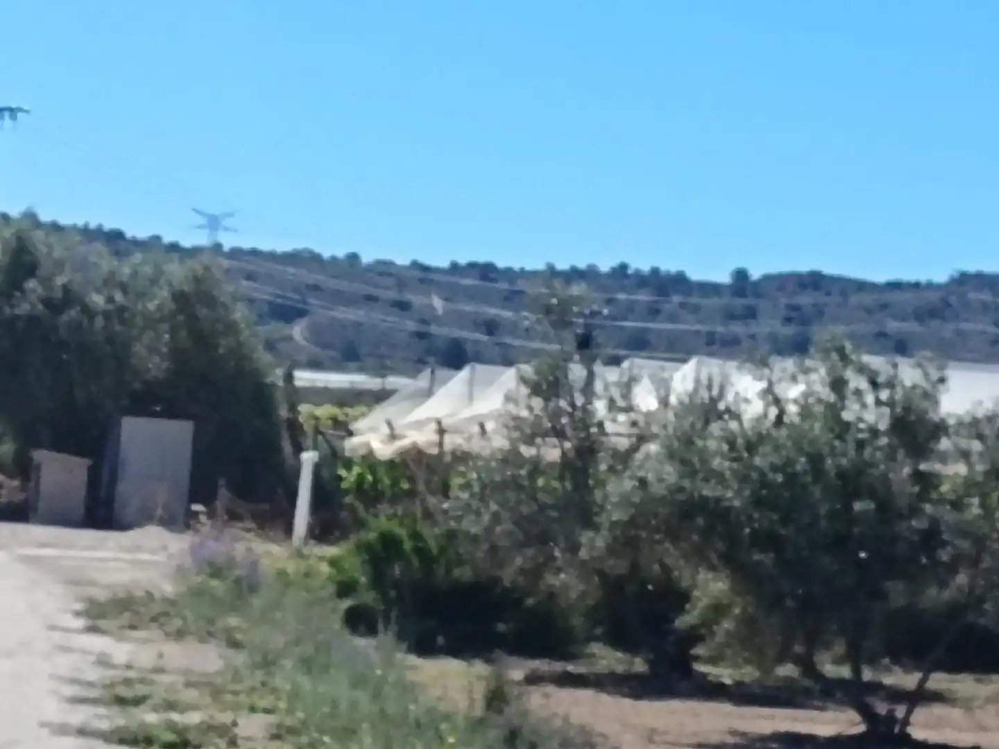Terreno rústico en venta en Monforte del Cid, imagen 8