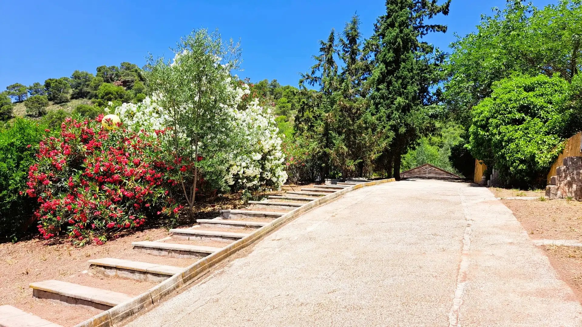 Jardín de Casa o chalet en venta en Alhama de Murcia con Jardín privado, Terraza y Trastero