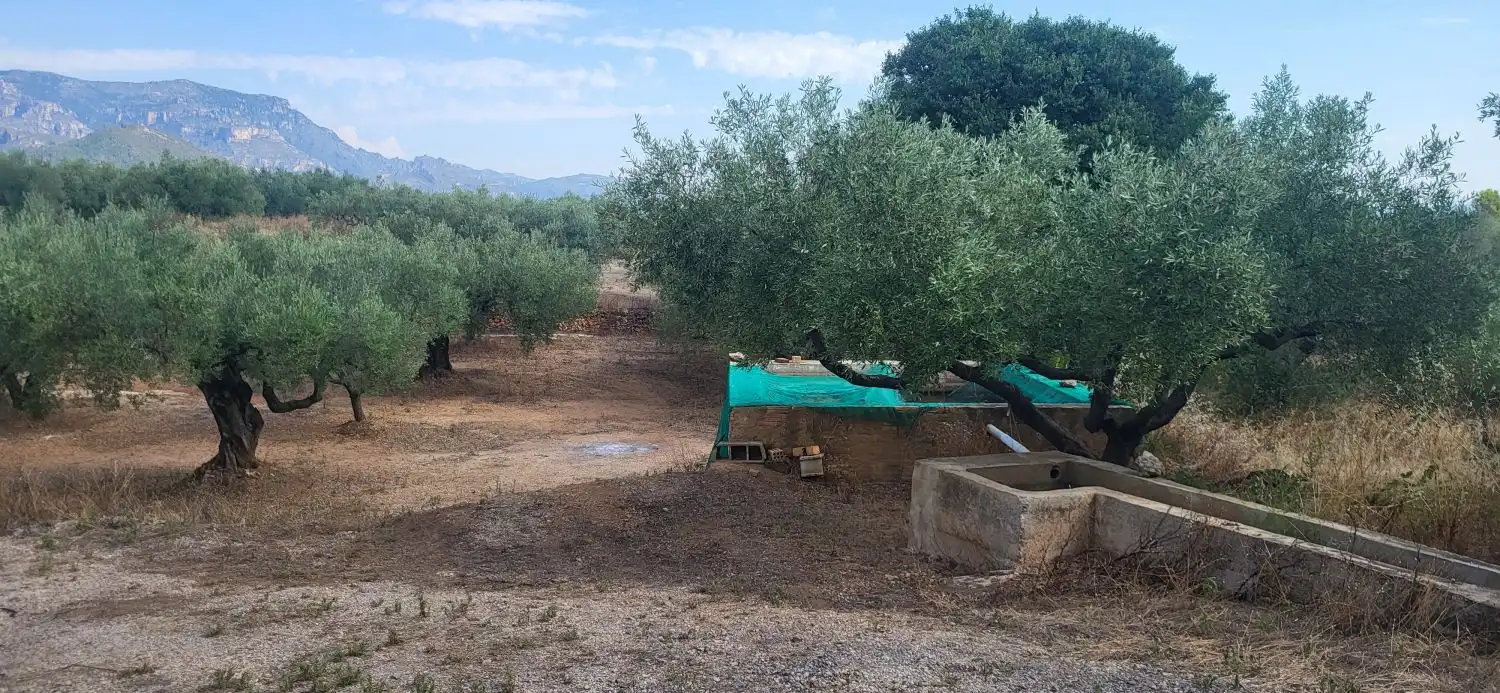 Finca rústica en venta en Mas de Barberans