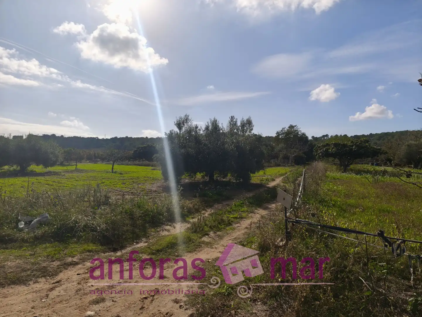 Terreno rústico en venta en La Riera de Gaià