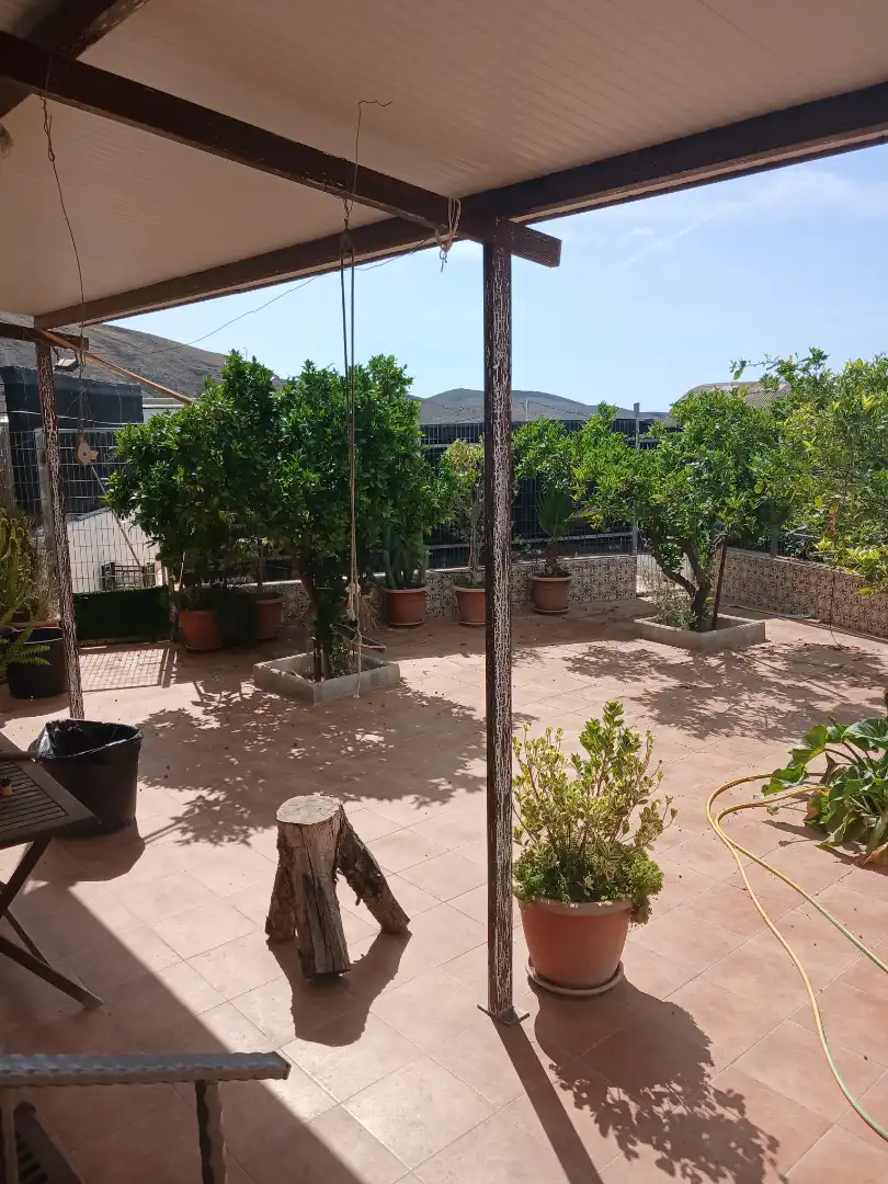 Terrace of Detached homes for sale in Dalías  with Air Conditioner, Terrace and Swimming Pool