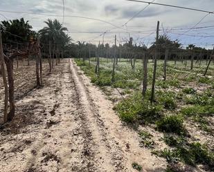 Terreny industrial en venda en Oria