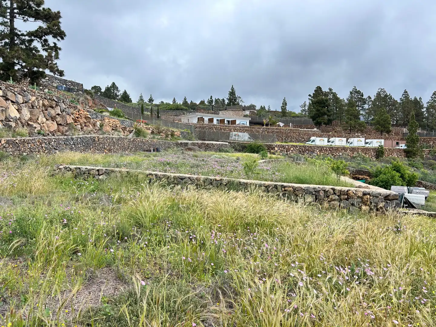 Finca rústica en venda a Camino de Jama, 3, Tamaide - El Roque
