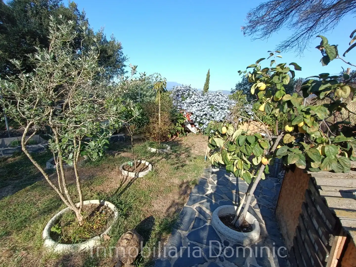 Jardí de Casa o xalet en venda en Maçanet de la Selva amb Aire condicionat, Calefacció i Jardí privat