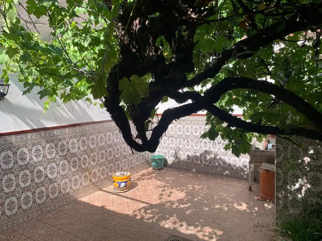 Jardí de Casa o xalet en venda en Puertollano amb Aire condicionat, Jardí privat i Terrassa