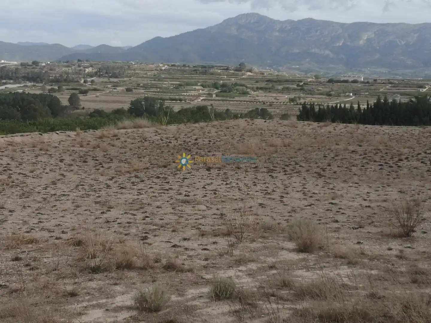 Rural land for sale in Benigànim, imagen 11