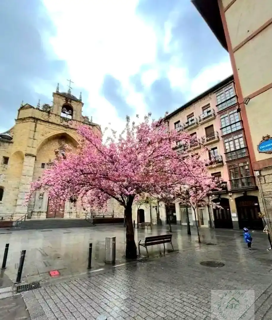 Exterior view of Flat for sale in Ibaiondo