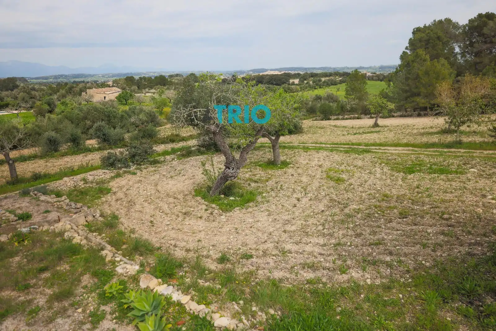 Casa o xalet en venda en Montuïri amb Calefacció