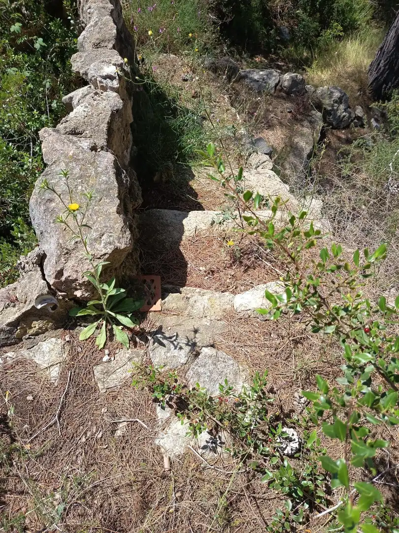 Terreno residencial en venta en El Catllar, imagen 4