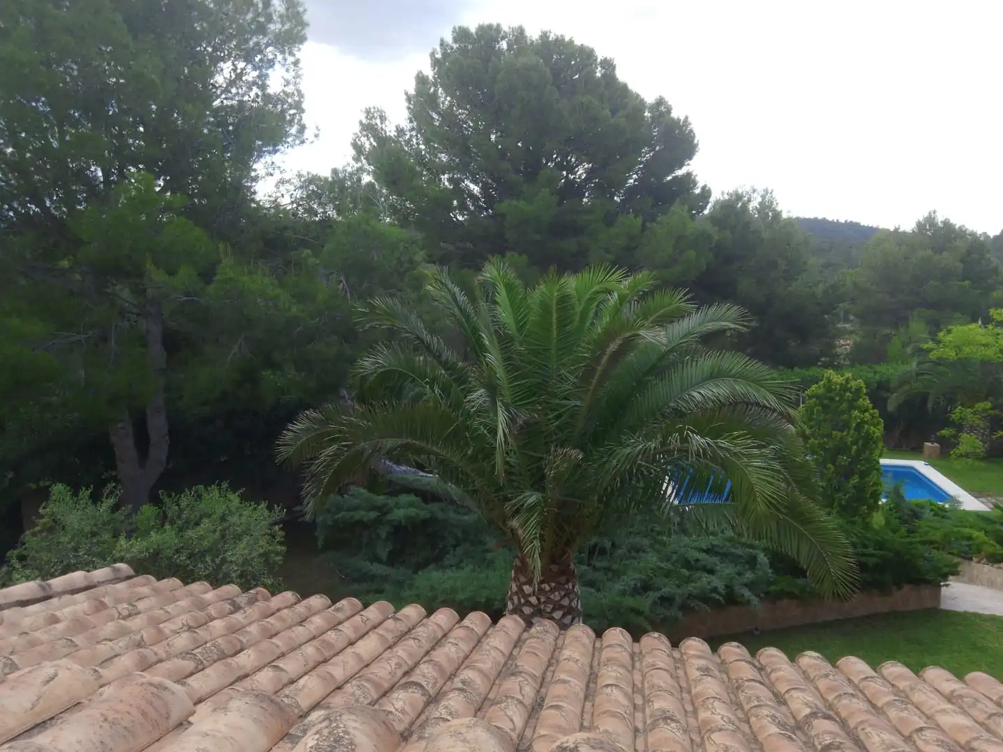 Jardí de Casa o xalet en venda en Tibi amb Aire condicionat, Jardí privat i Parquet