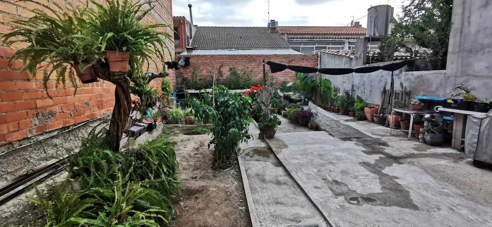 Wohnbaugrundstück zum Verkauf in La Serreta, imagen 3