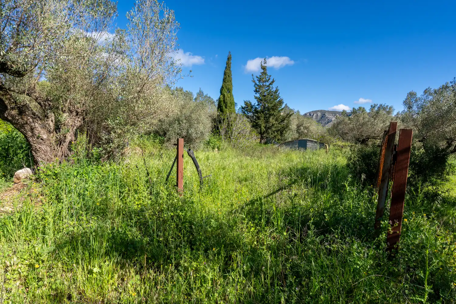 Terreno en venta en Rossell, Castellón