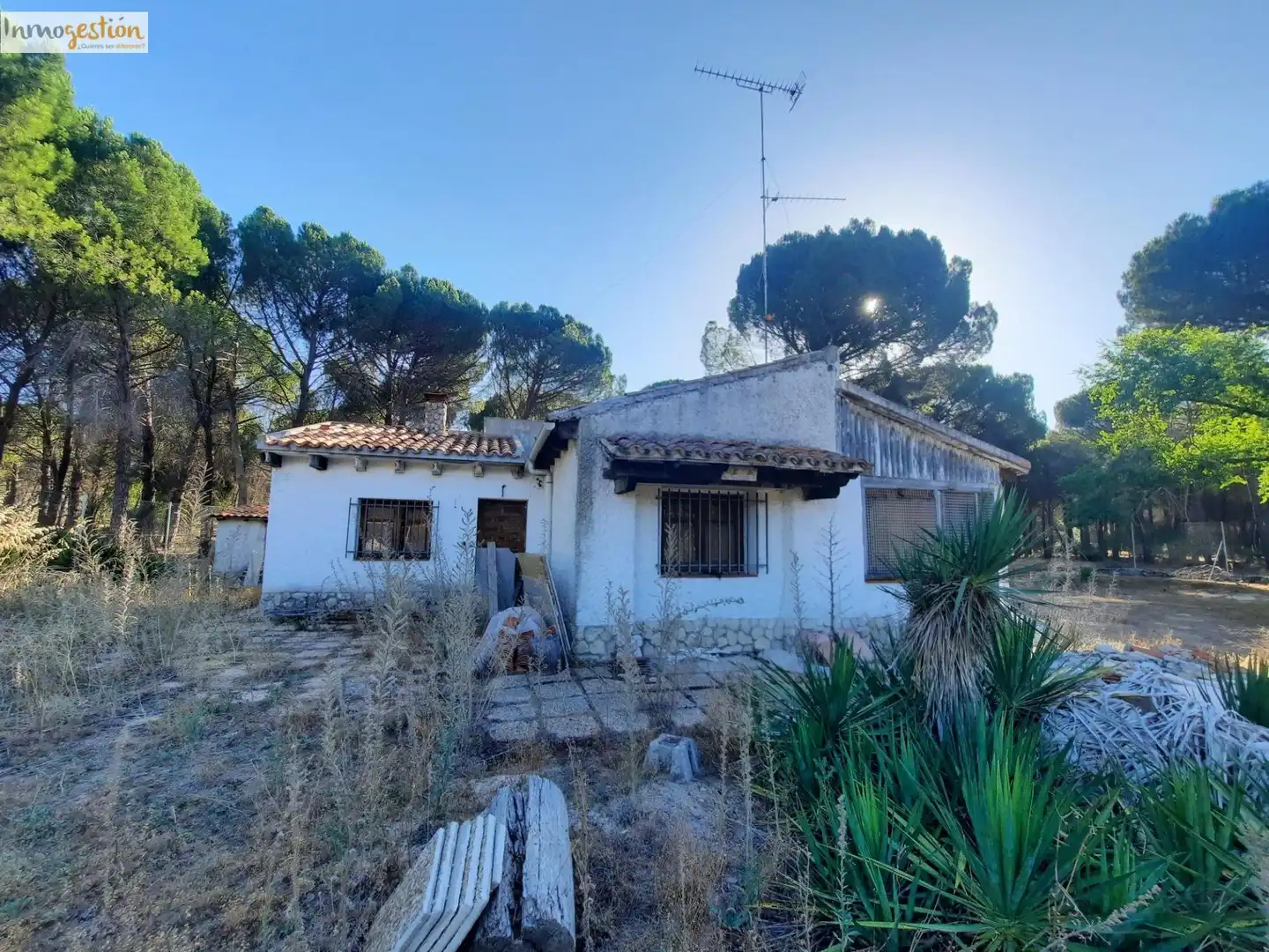 Exterior view of Houses for sale in Tudela de Duero  with Heating and Private garden